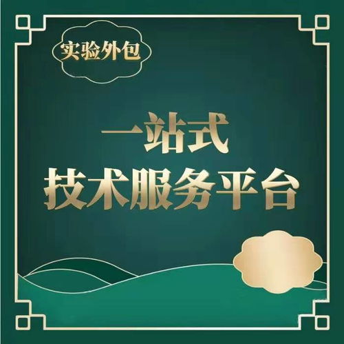 如何有效采购技术服务外包 价格与供应商信息管理指南