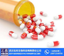 硬胶囊生产线技术服务务实指南与面向名实优选供应商
